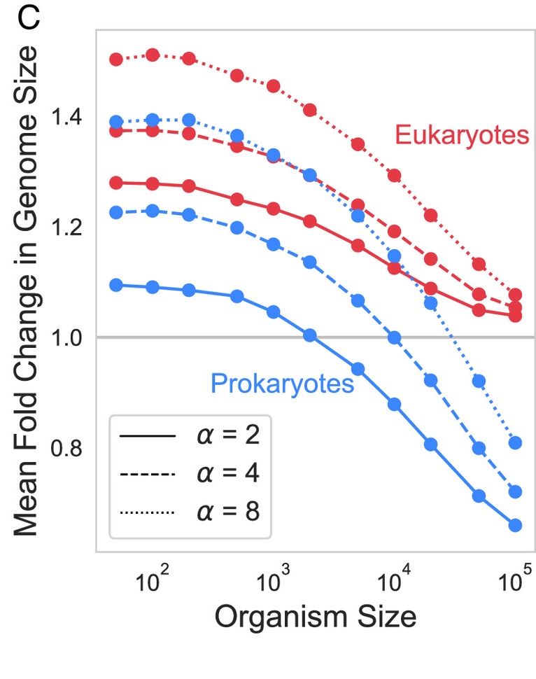 Nonadaptive explanation for complex multicellularity in eukaryotes
